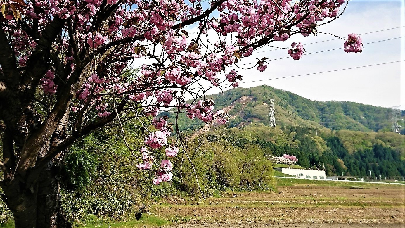 歌占の滝: つとつとのブログ