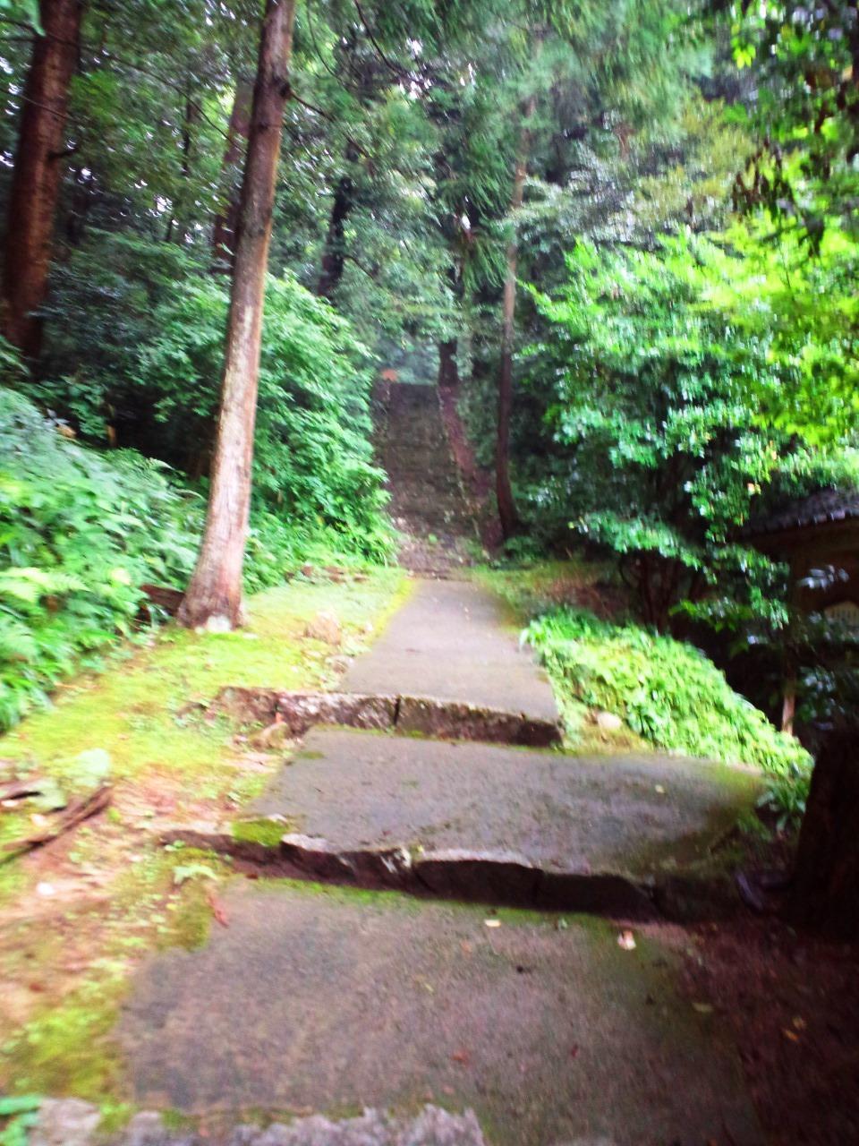 永光寺 ③ 五老峯 瑩山禅師墓所 峨山道: つとつとのブログ